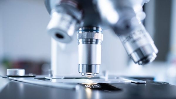 Meyer Lab: el laboratorio de análisis clínicos se mantiene como referencia gracias a su adaptación
