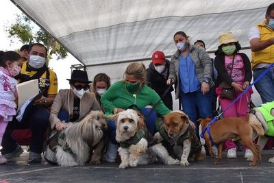 La residencia presidencial boliviana tiene ocho huéspedes de cuatro patas - Mascotas - ABC Color