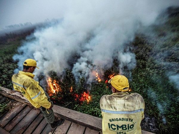 Bolsonaro denuncia una “brutal campaña” por la Amazonia