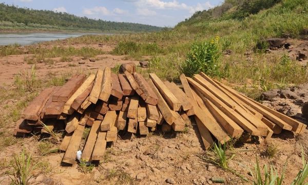 Incautan maderas nativas en el Paraná