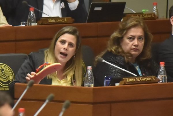 Quieren ocultar presupuesto del Parlasur, afirma diputada