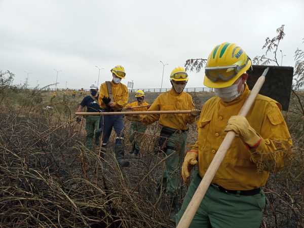 Brigada Forestal de la SEN apoya tareas de extinción de incendios