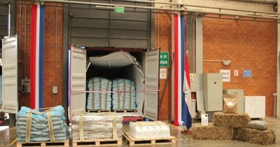La Nación / Unos 850 kilos de granos y harina de cáñamo paraguayo ya son comercializados en EEUU