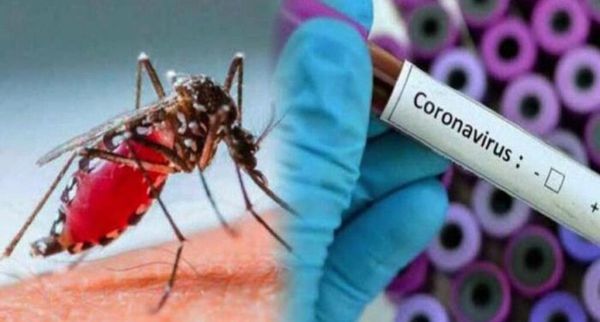Salud en alerta ante posibles casos de dengue y COVID-19 en un mismo paciente