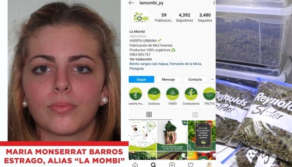 HOY / Marihuana VIP: una “emprendedora” de huertas, entre los jóvenes detenidos