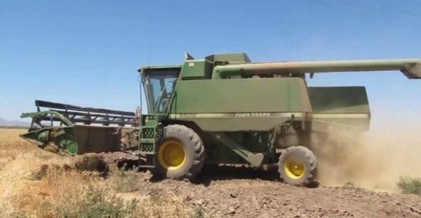 Agricultor fallece al caerse de una cosechadora en Itapúa