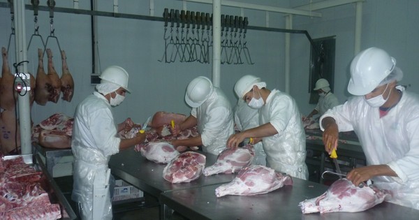 La Nación / Taiwán ratifica interés en la carne de cerdo y está a la espera de documentos fitosanitarios