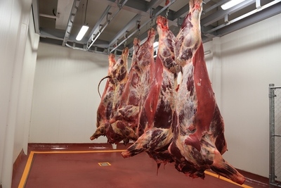 Tras las fiestas en Chile, exportadores evalúan cómo será la demanda de carne a corto plazo