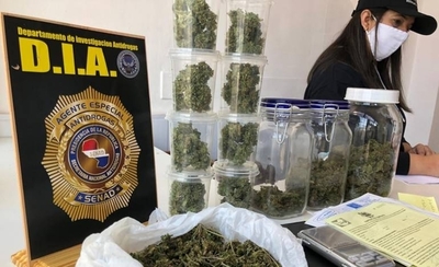 HOY / Marihuana VIP: "No nos interesa mucho la lista de clientes", dice Senad