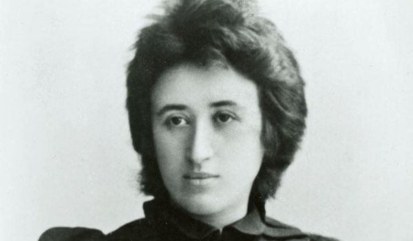 Las cartas de amor de una grulla llamada Rosa de Luxemburgo - El Trueno