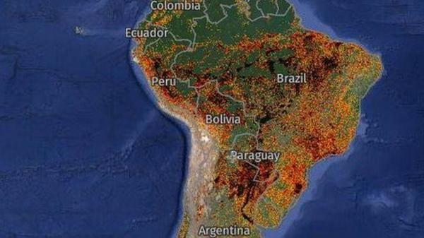 Incendios en América Latina: la catástrofe que está afectando a gran parte del continente americano – Prensa 5