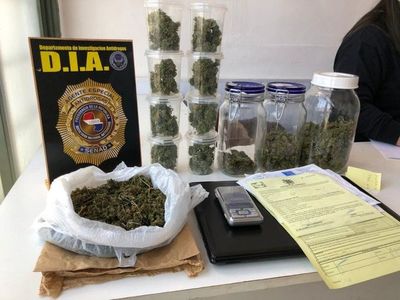Semillas de marihuana vip ingresaban de contrabando