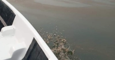 La Nación / Denuncian contaminación en el lago Yguazú