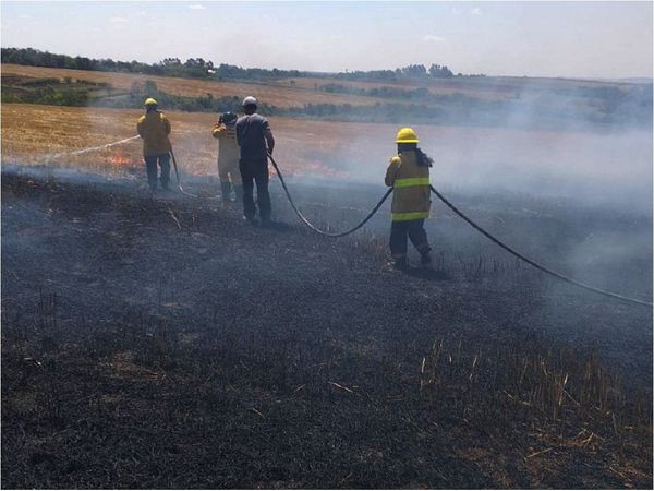 Bomberos luchan contra incendios forestales en Itapúa