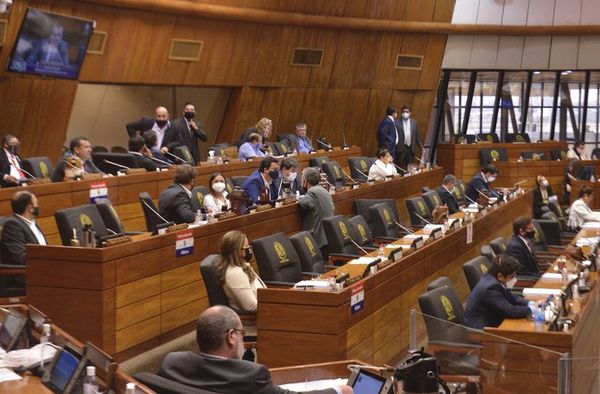 Diputados mantienen sueldos de oro en las binacionales - Nacionales - ABC Color