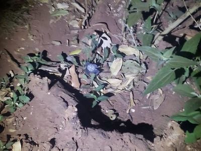 Cumpleañero fue asesinado por festejar con música a alto volumen