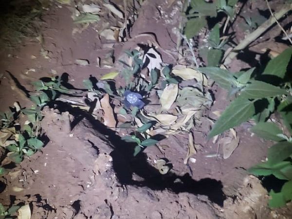 Cumpleañero fue asesinado por festejar con música a alto volumen