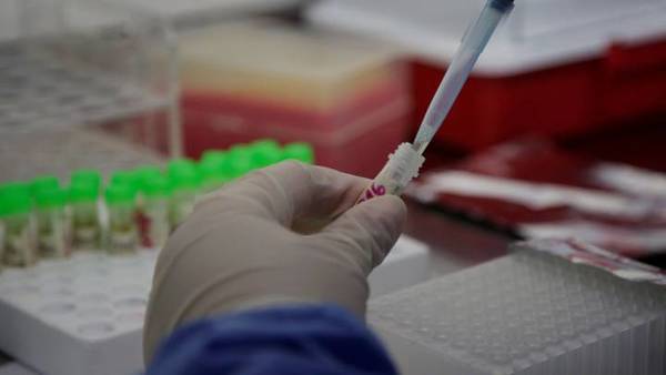 Estudio genético muestra que el coronavirus está mutando y podría esquivar la inmunidad - ADN Paraguayo
