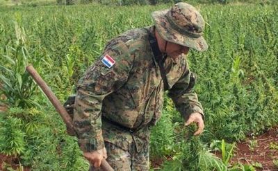 Antinarcóticos intervino en zona rural de Capitán Bado