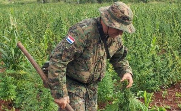 Antinarcóticos intervino en zona rural de Capitán Bado