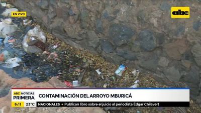 Gran cantidad de basura en cauce del arroyo Mburicá - ABC Noticias - ABC Color