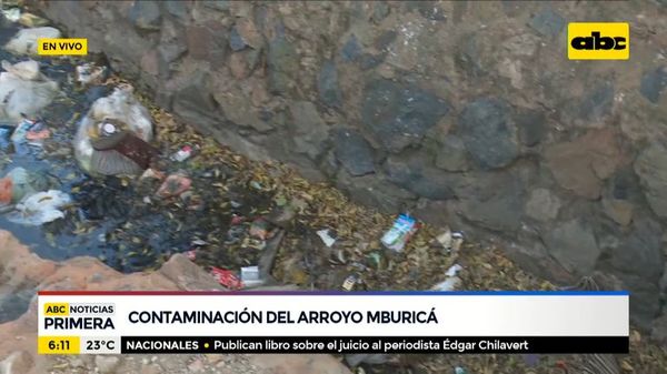 Gran cantidad de basura en cauce del arroyo Mburicá - ABC Noticias - ABC Color