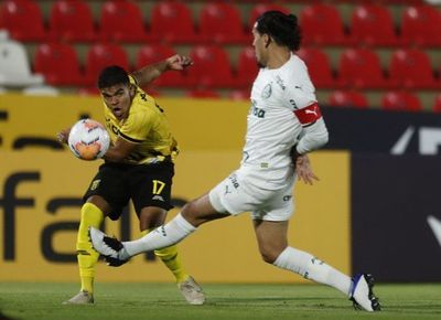 Guaraní no logró transformar en victoria su buen juego ante Palmeiras - Digital Misiones
