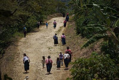 El coronavirus desnuda la vulnerabilidad de pueblos indígenas y sus derechos - Mundo - ABC Color