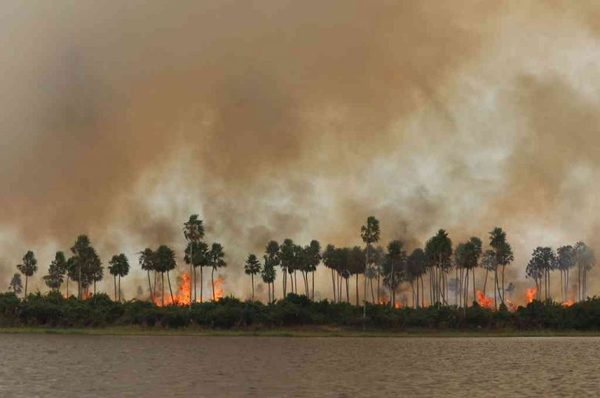 El Pantanal brasileño suma 6.048 incendios en septiembre, el peor mes de su historia