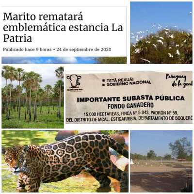 Rechazan remate de la mítica estancia “La Patria”, ubicada en el Chaco
