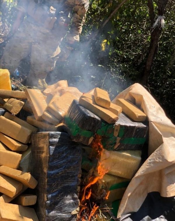 Canindeyú: Senad destruye más de una tonelada de droga | Noticias Paraguay