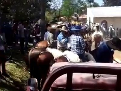 Cuatro policías no pudieron evitar jineteada en Caraguatay, dice intendente