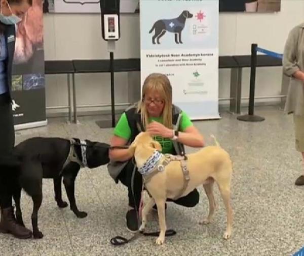 Aeropuerto emplea perros para detectar el Covid-19