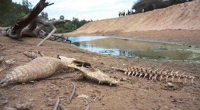 Crónica / Boquerón, en emergencia por sequías