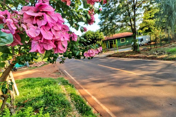 Viernes con mucho calor y soleado, anuncia Meteorología