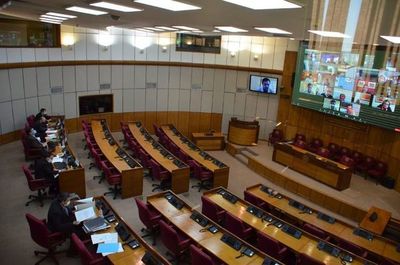 “No vuelve nadie o vienen todos”, dice Buzarquis sobre pedidos para que senadores recuperen sus bancas - Nacionales - ABC Color