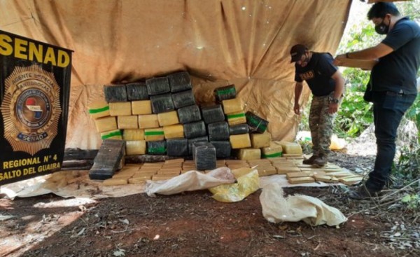 Senad incauta más de 1,5 toneladas de marihuana en Canindeyú