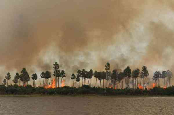 El Pantanal brasileño suma 6.048 incendios en septiembre, el peor mes de su historia