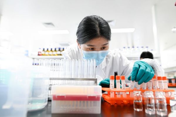 China tendrá 610 millones de dosis de vacunas en 2020 y mil millones en 2021 - Mundo - ABC Color