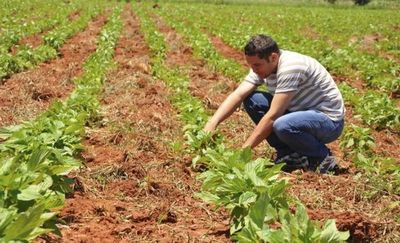 Preocupa el desarrollo agrario en Misiones - Digital Misiones