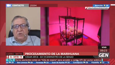 HOY / César Arce, exviceministro de la Senad, sobre procesamiento de marihuana