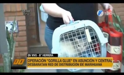 Entregan gatas a madre de detenida en operativo Gorilla Glue