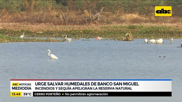Urge salvar humedales del banco San Miguel - ABC Noticias - ABC Color