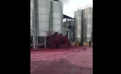 HOY / Procesadora de uva explota y pierde unos 50 mil litros de vino
