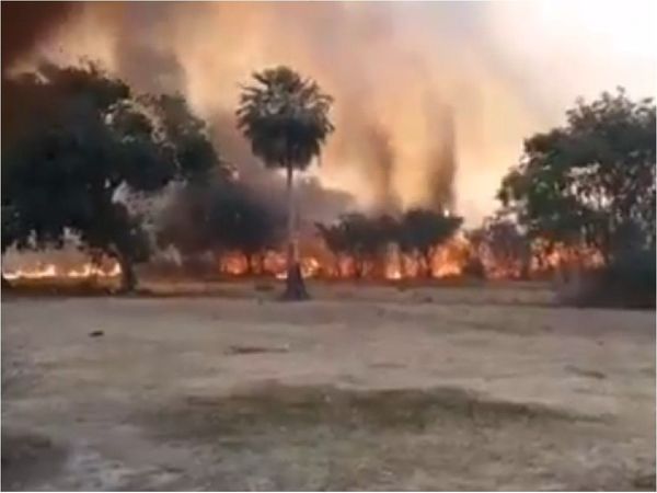 ¡Dejen de quemar, carajo! piden bomberos