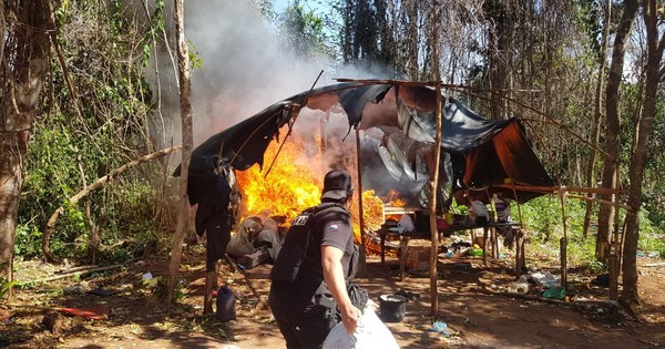 La Nación / Destruyen campamento con toneladas de marihuana en Caaguazú