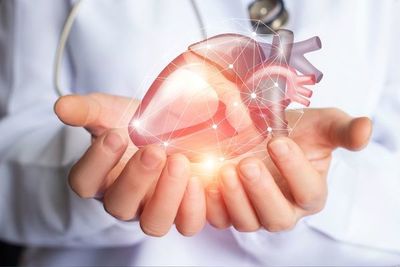Crean mapa detallado del corazón que podría guiar tratamientos personalizados - Ciencia - ABC Color