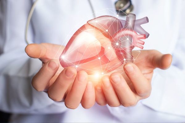 Crean mapa detallado del corazón que podría guiar tratamientos personalizados - Ciencia - ABC Color