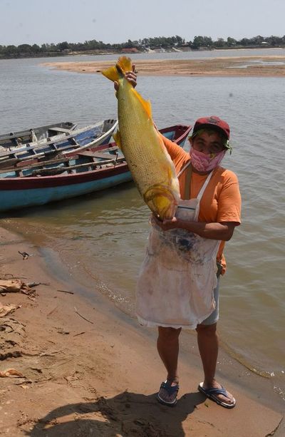 El pescado se encareció y falta stock del producto - Nacionales - ABC Color
