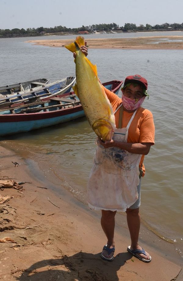 El pescado se encareció y falta stock del producto - Nacionales - ABC Color